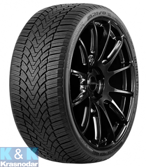 Автошина ARIVO WINMASTER PROX ARW3 205/55 R16 91H